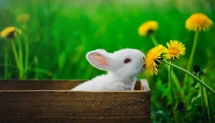 足球直播-阿联酋航空高管：与阿森纳皇马合作是明智策略|阿联酋航空企业|皇家马德里|球衣|谍照|俱乐部_新浪体育_新浪新闻